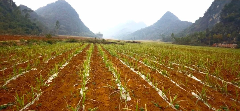 微信截圖_20240122092928.png 微信截圖_20240122092928.png