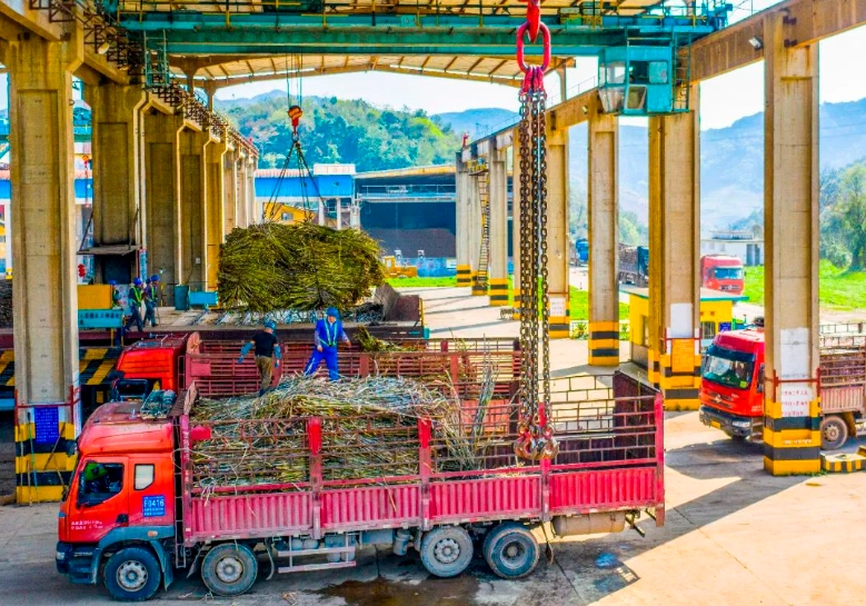 微信截圖_20231229093755.png 微信截圖_20231229093755.png