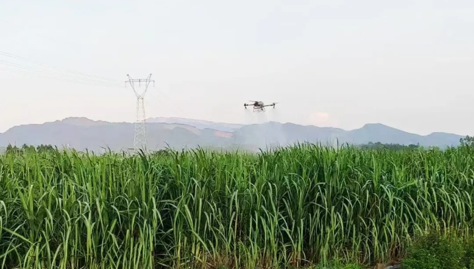 微信截圖_20240911102453.png 微信截圖_20240911102453.png