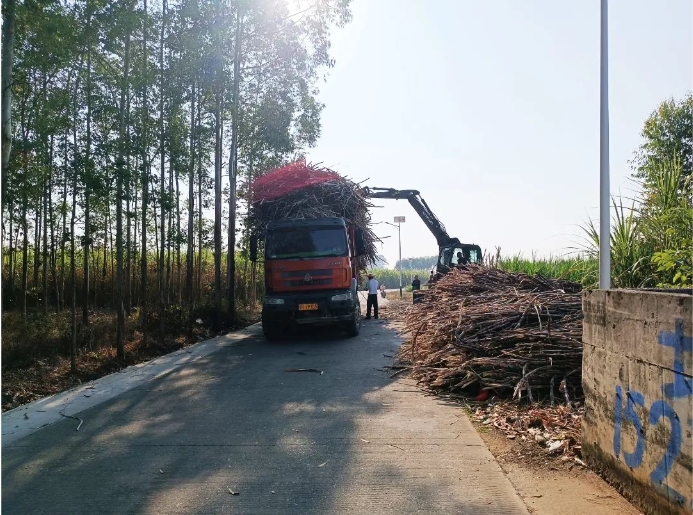 微信截圖_20250221160154.png 微信截圖_20250221160154.png