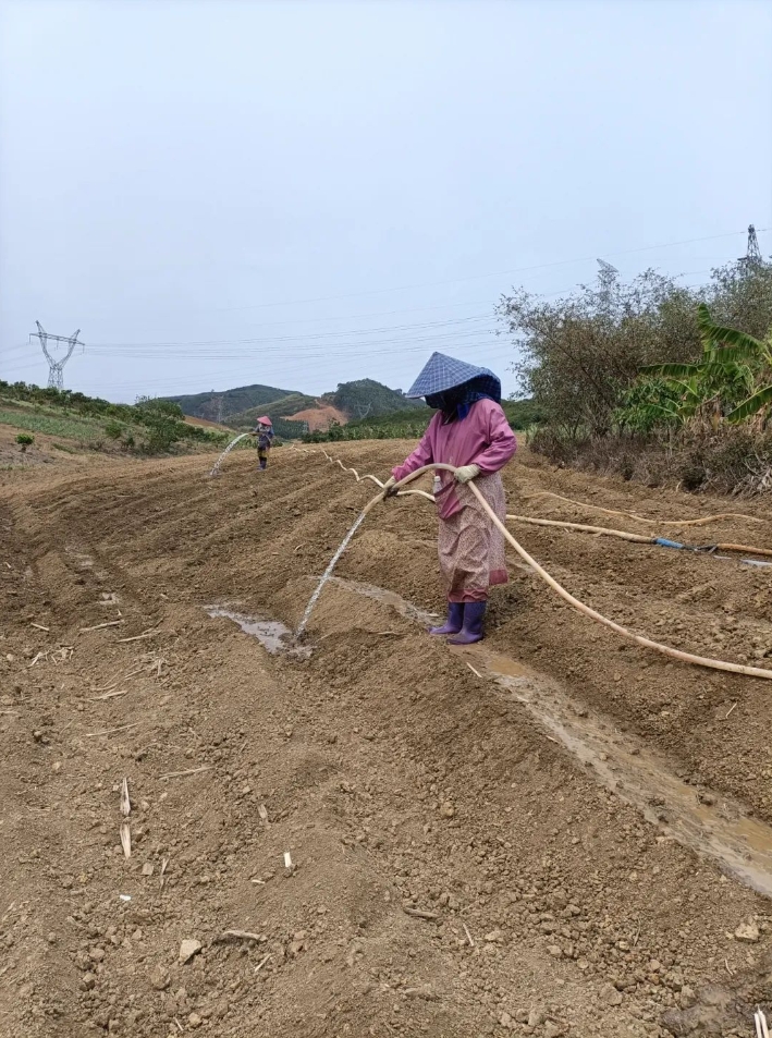 微信截圖_20250310155800.png 微信截圖_20250310155800.png