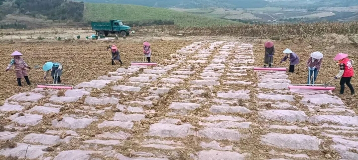 微信截圖_20250310155858.png 微信截圖_20250310155858.png